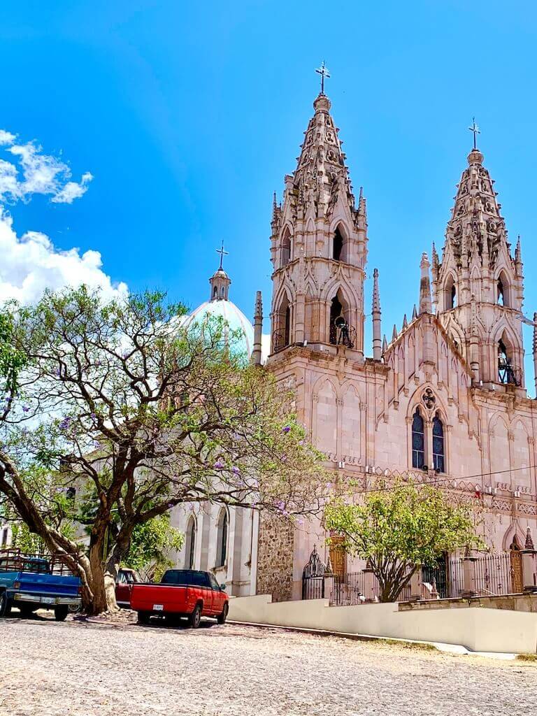 ornate cathedral flanked by jacaranda trees with trucks parked beneath them