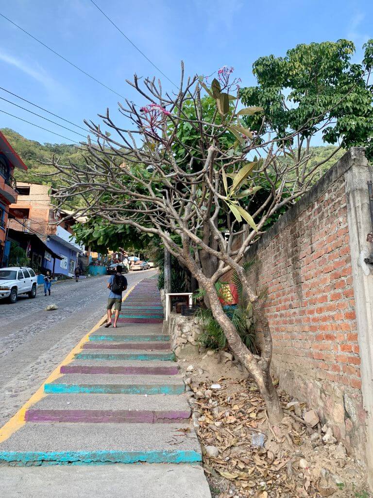 Evan walks up a steep concrete staircase on the way to the bus stop in Boca de Tomatlan