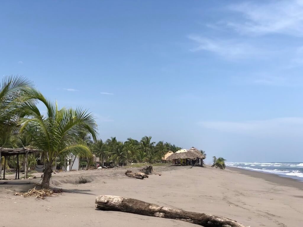 Palm trees line the brown sand along Boca de Cielo beach -- a great place to visit for those looking for off the beaten path things to do in Chiapas. 