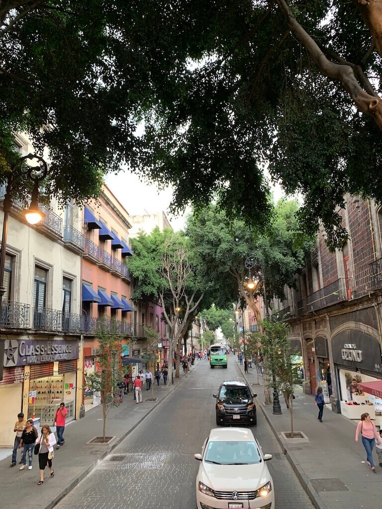 A tranquil street in Mexico City lined with trees and historic buildings, illustrating the city's charming atmosphere.