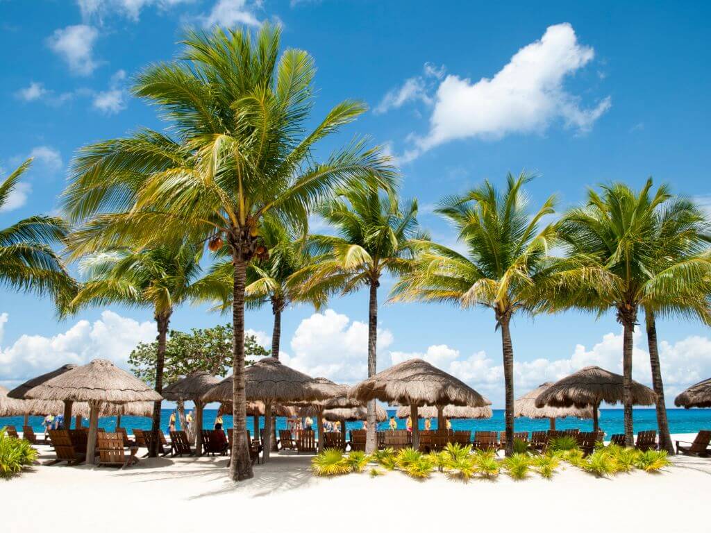 A distant shot of a Cozumel beach club with palm trees and palapas in the sand. 