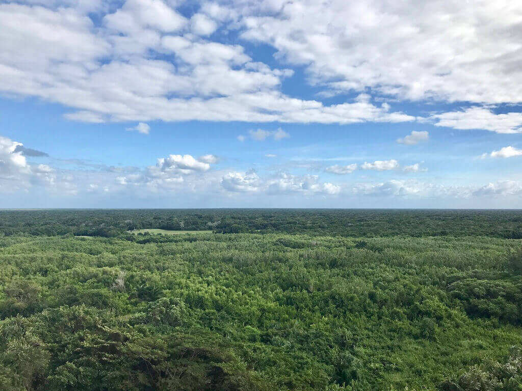 The north end of Cozumel is mostly a protected jungle area.