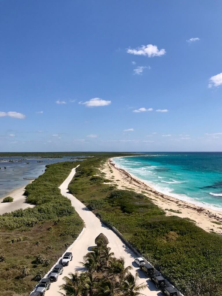 view of a dirt road bordered by mangroves on one side and the ocean on the other