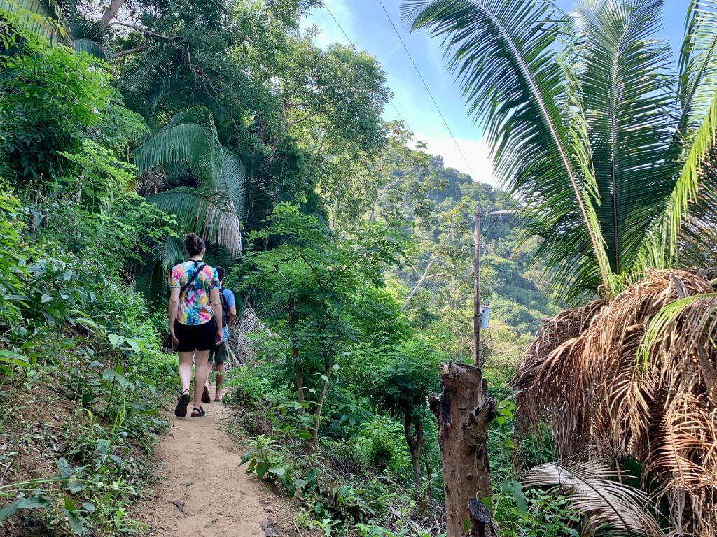 Hiking through the jungle on a dirt path toward Las Animas