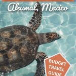 how to swim with turtles in akumal