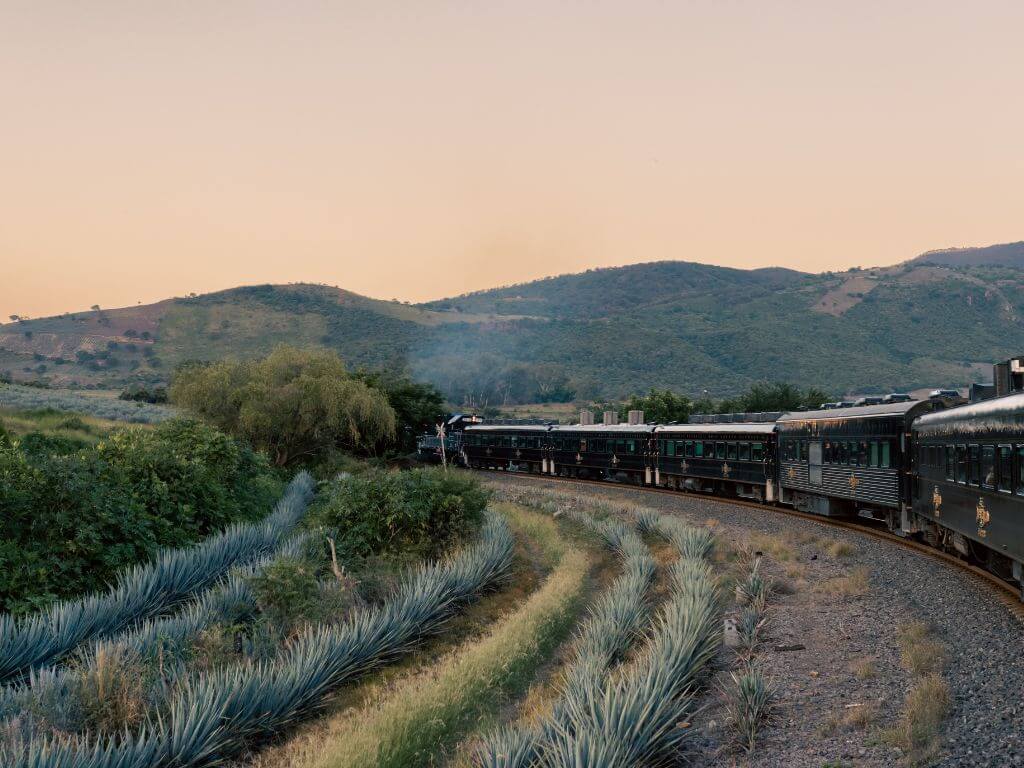 Jose Cuervo train to Tequila, Jalisco winds its way through blue agave fields in the foreground while Jalisco hills loom in the background at sunset