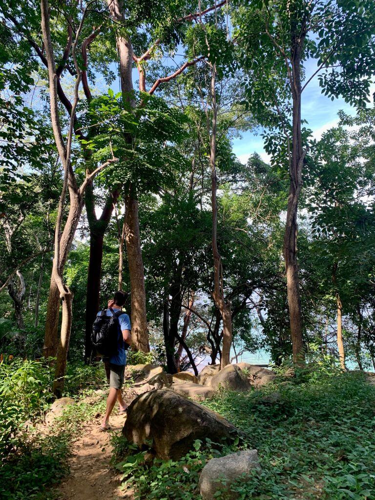 a hiker walks through the jungle towards Las Animas Beach