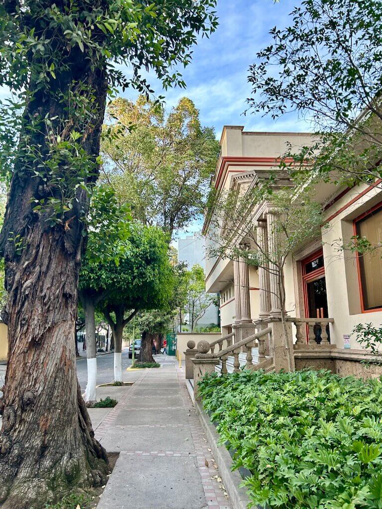 a sidewalk is lined by large green trees and french style mansions in La Colonia Americana in Guadalajara Mexico