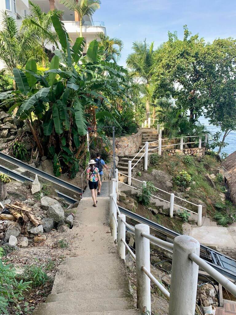 Evan and Jen walk along the palm tree lined concrete path on the hike to Las Animas