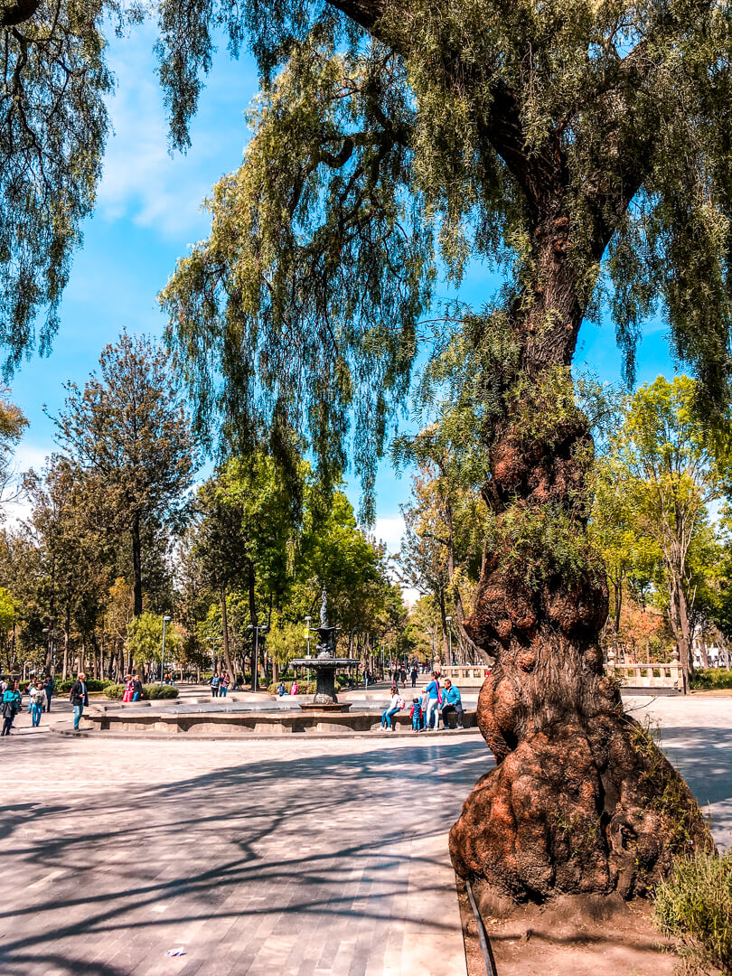 Mexico City's Alameda Central