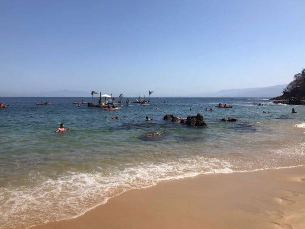 Las Caletas Beach makes a great day trip from Puerto Vallarta, Mexico.