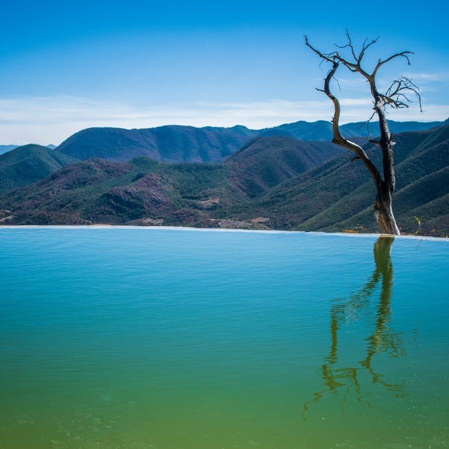 Hierve el Agua from above, a bare tree trunk sits on the edge of the pool of hierve el agua, with green hills in the distance