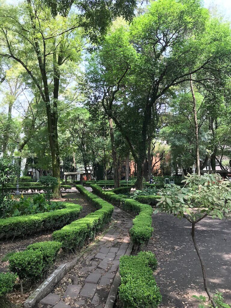 plant-lined paths at Parque Mexico in Mexico City