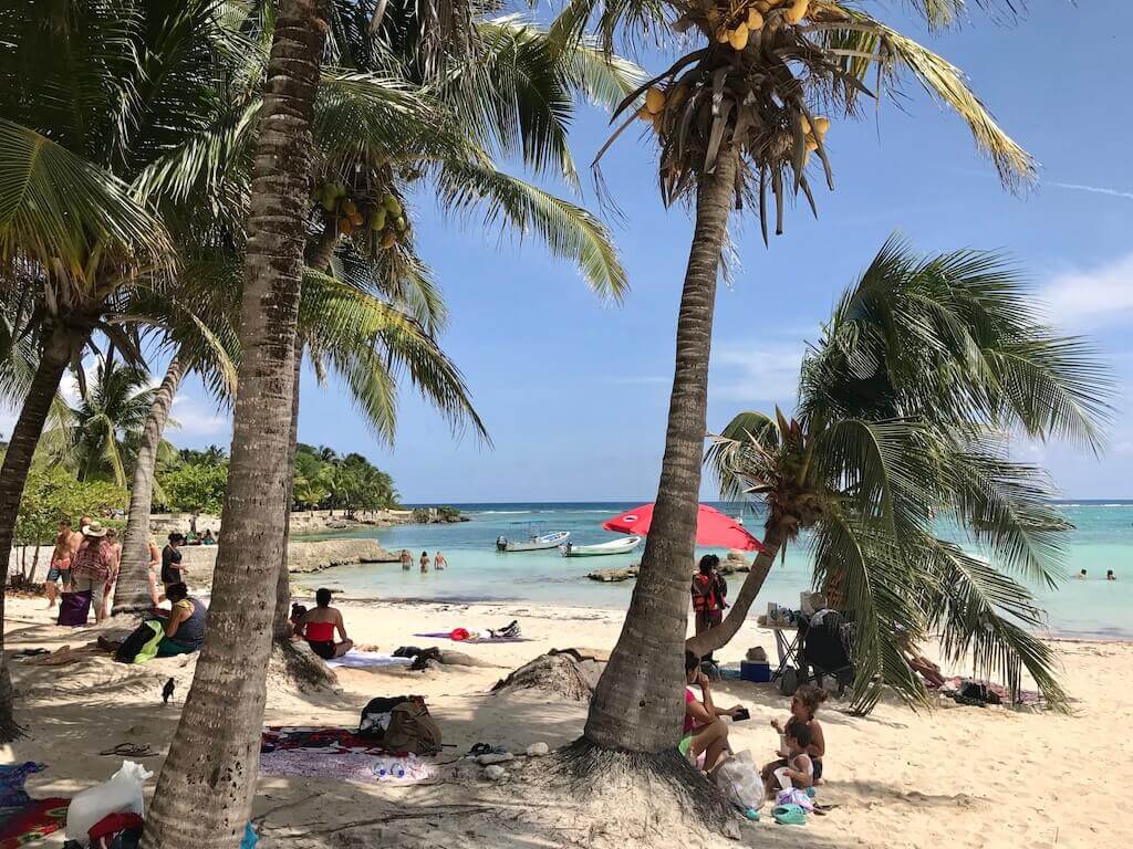 looking through a grove of palm trees over the turquoise water of Akumal Bay