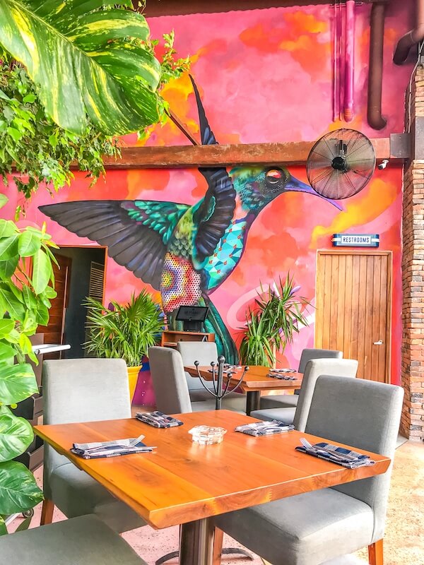 an empty table in Patio 8 restaurant surrounded by lush plants with a brightly colored hummingbird mural in the background