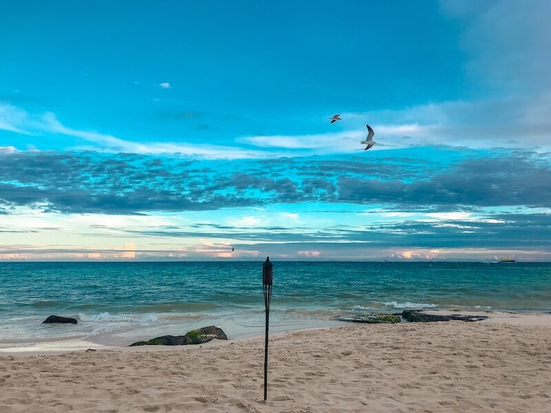 looking across the beach at the horizon over the water at sunset in Playa del Carmen