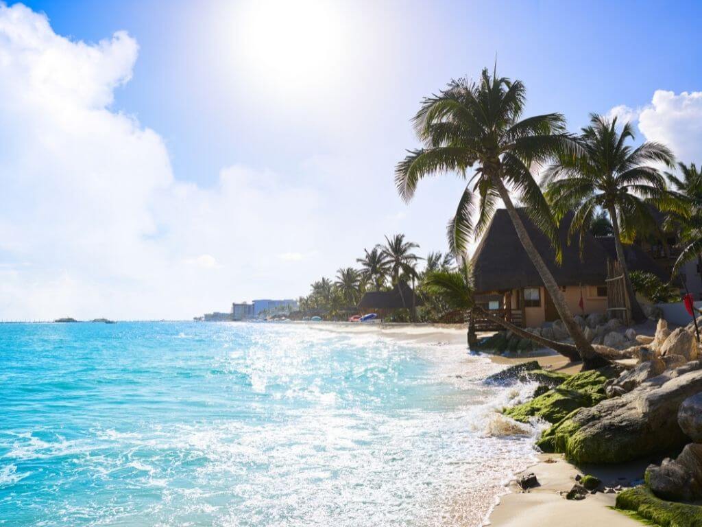 palm trees and palapas on the beach in playa del carmen