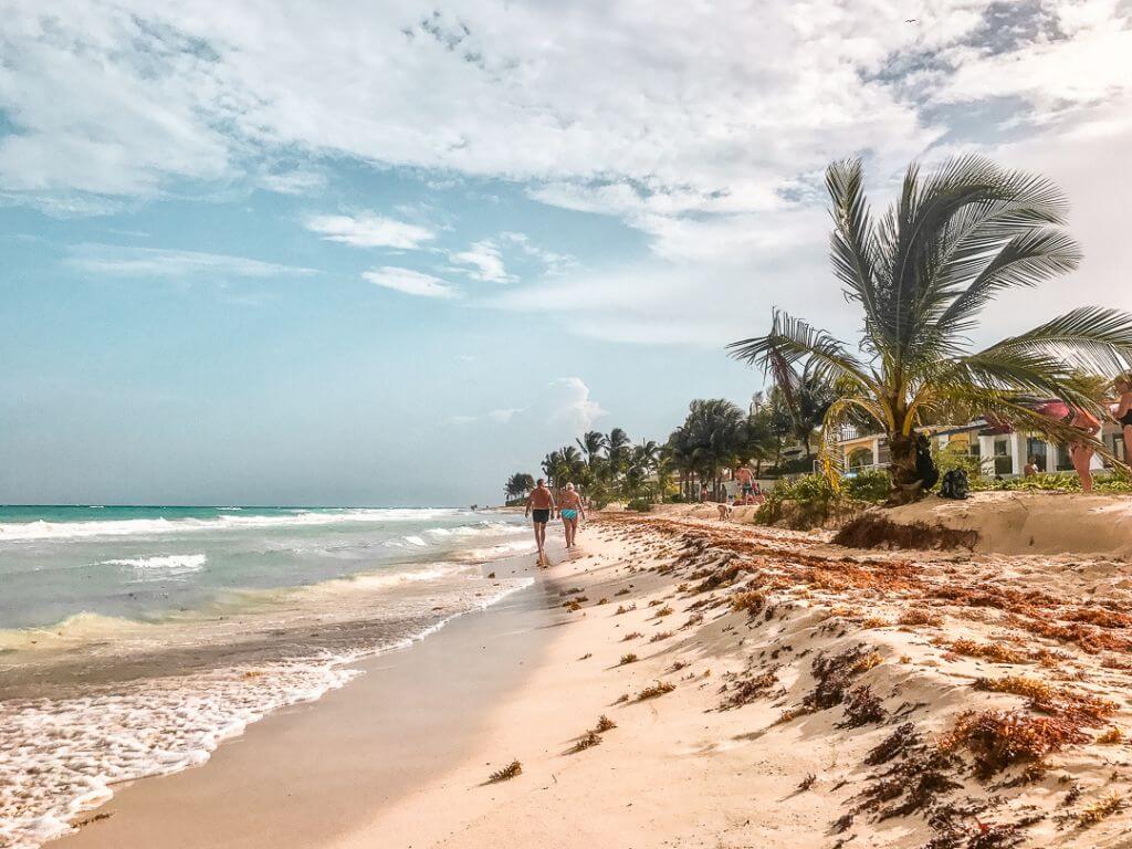 Looking South down Playacar beach, the caribbean sea laps the whitesand beach and a couple of senior tourists in swimsuits walk along the water's edge in the distance. palm trees line the edge of the beach