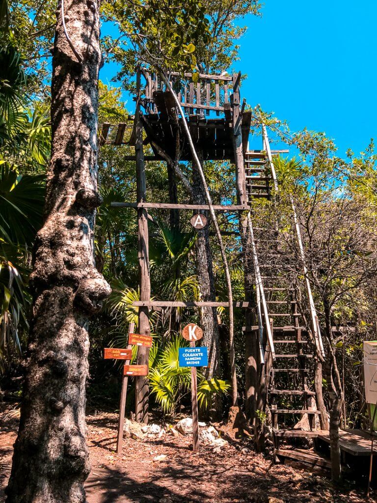 lookout platform in botanical garden puerto morelos