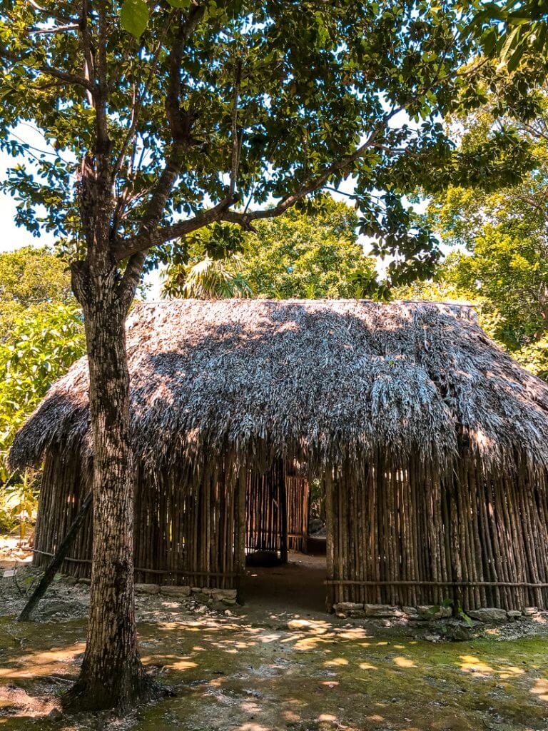 maya hut in botanical garden riviera maya