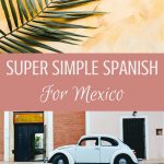 No Spanish? No problem. This is a non-Spanish speaker's survival guide for visiting Mexico. These simple phrases will get you everywhere you need to go. Pin it for your reference!