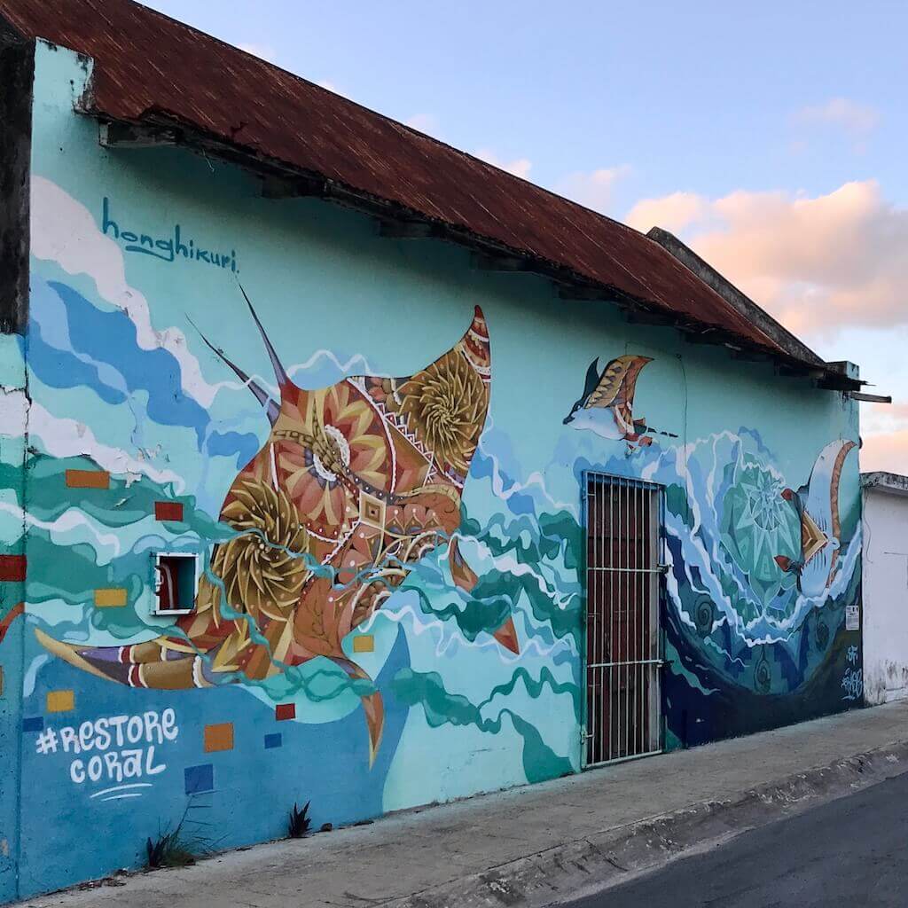 colorful mural featuring mantarays on the side of a building in downtown cozumel, mexico