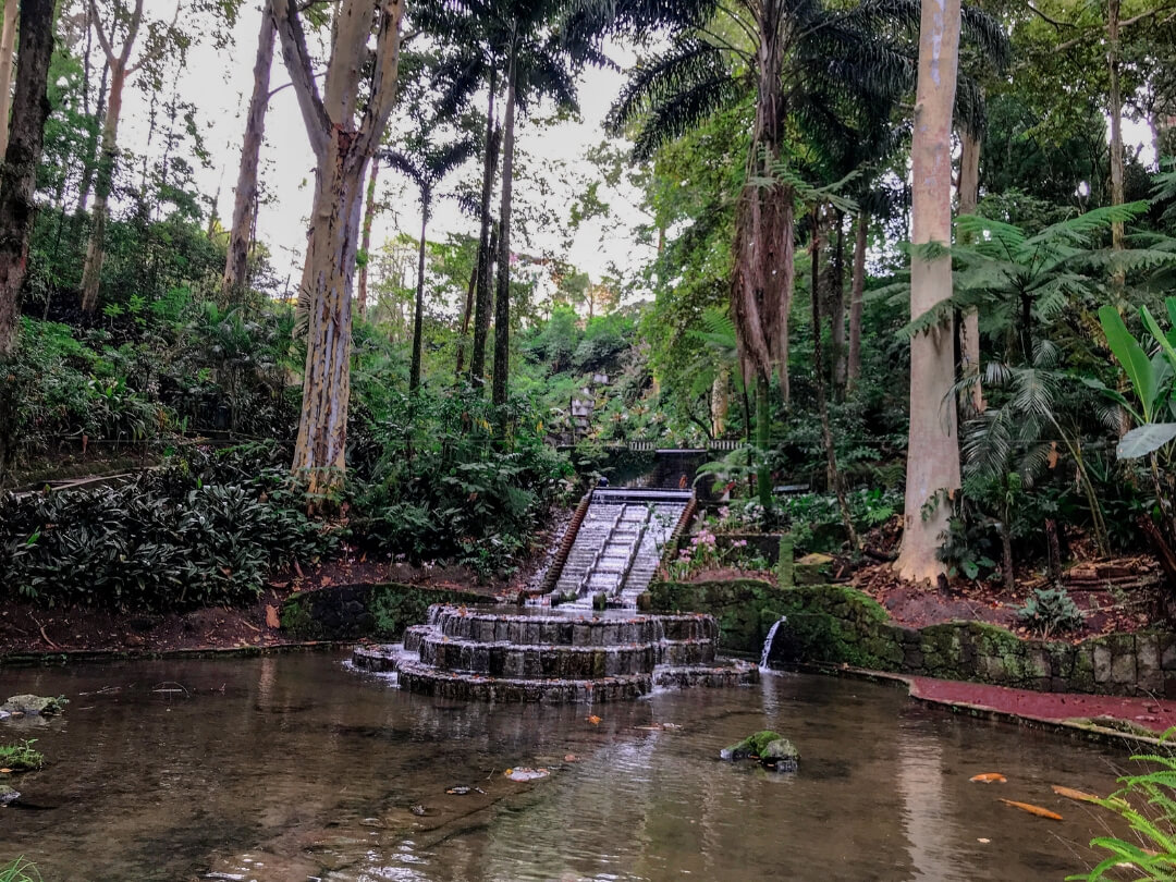 a man-made waterfall fills a koi pond in parque tecajetes in Xalapa, Veracruz. Lots of green plants and trees make up the background