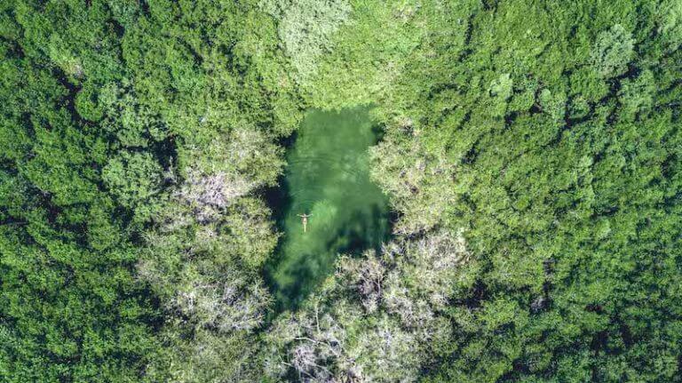 Best Cenotes in Riviera Maya, Mexico