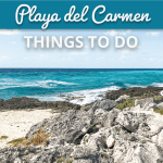 delightful things to do in playa del carmen, mexico